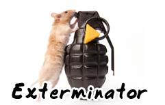 English Lesson - Pest Control