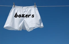 English Lesson - Boxers and Briefs