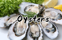 English Lesson - Seafood Dinner