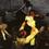 1291055457_pg26-copy