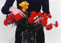 1329249201_ader_primarytime3