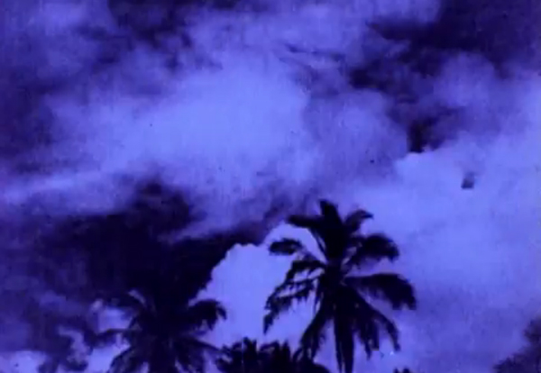 Joseph Cornell, still from <em>Rose Hobart</em>, 1936. 16 mm film, 20 min. Image use by permission from the Museum of Modern Art, New York. Joseph Cornell, still from <em>Rose Hobart</em>, 1936. 16 mm film, 20 min. Image use by permission from the Museum of Modern Art, New York.
