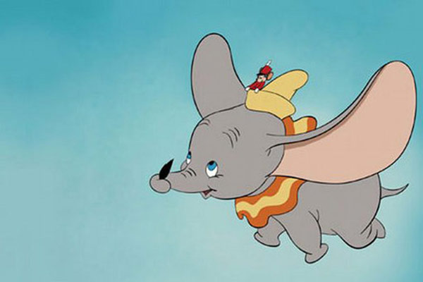 ������ ���� ������ �� ���� ������