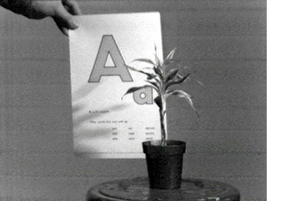 John Baldessari, still from <em>Teaching A Plant the Alphabet</em>, 1972. Black and white video, 19 min. Courtesy of John Baldessari.