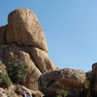 DSC01230.JPG