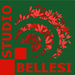 Silvia Bellesi