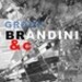 Luca Brandini