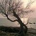 Sp_a0104_thumb