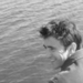 Luca Barcella
