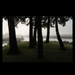 Vulkers Photography | Ben Vulkers