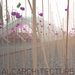 alcarchitecture
