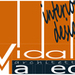 Matteo Vidali