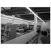 EXE arquitectura