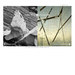 Immagine-6_thumb