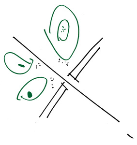Schizzo_concept_