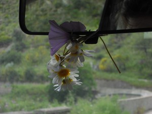 Paliz09