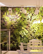 Café "just Cuore"