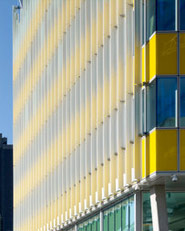 The Yellow Building