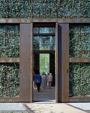 Hedge Building