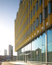 The Yellow Building