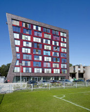 high rise with climbing wall