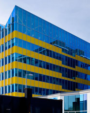 The Yellow Building