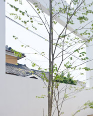 House N