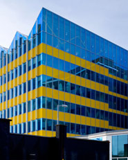 The Yellow Building