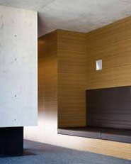 Atrium house