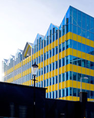 The Yellow Building