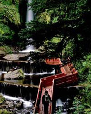 Termas Geométricas