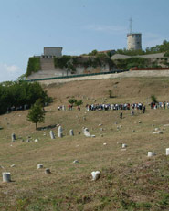 Progetto di restauro dell' Antico Cimitero Ebraico di Ancona
