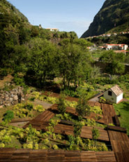 Pavilhão do Vulcanismo