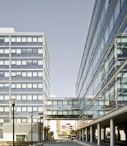 Department of health, Consumption  and Social Services