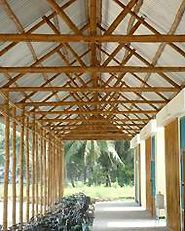 The Bamboo School