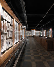 Ristrutturazione del Museo di Geologia e Paleontologia di Palazzo Cavalli, Padova