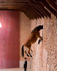 Punta della Dogana