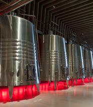 Faustino winery