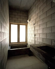 Silent house
