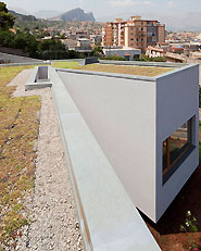 casa P