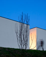 Tendais House