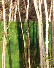 Coloured Reflections