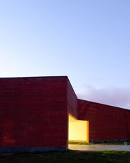Paula Rêgo Museum