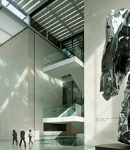 Museum of Fine Arts