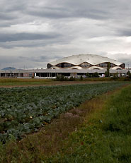 Football Stadium and Multi -Purpose Sports Hall of the Sports Park Stožice