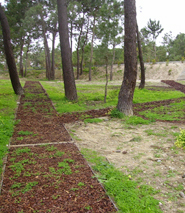 Parque Aventura