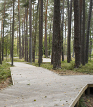 Dzintari Forest Park