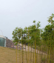 Jinhua Arquitecture Park