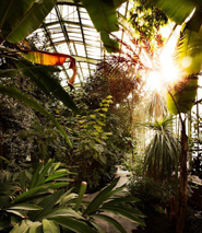Jardin des Plantes Greenhouses