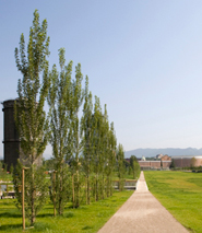 Parco Tarello